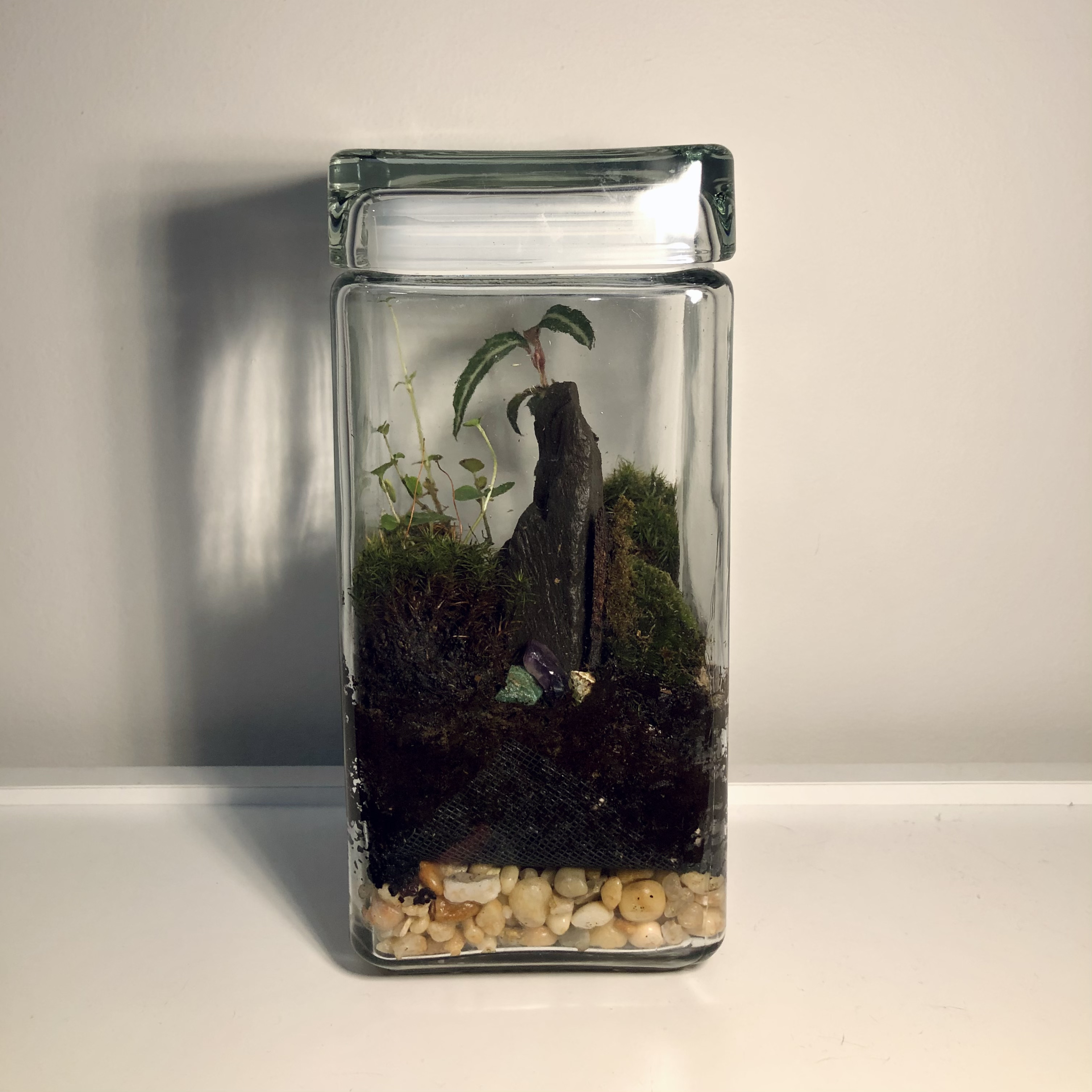 viewing the rectangular terrarium from the right side, through the glass there's layers of gravel and soil, then on top there's moss, small plants and a small pointy rock positioned near the center.